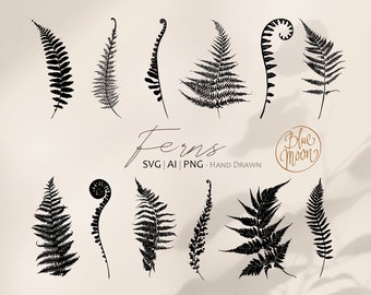 Farn Blätter, handgezeichnete botanische Grafik. Set von svg, ai und png Clipart-Dateien, digitaler Download