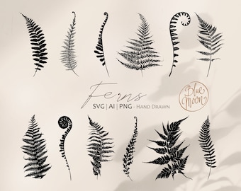 Fern Leaves, hand drawn botanical graphics. Set of svg, ai and png clipart files, digital download