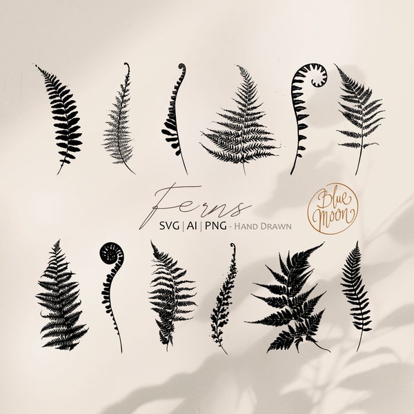 Fern Leaves, hand drawn botanical graphics. Set of svg, ai and png clipart files, digital download
