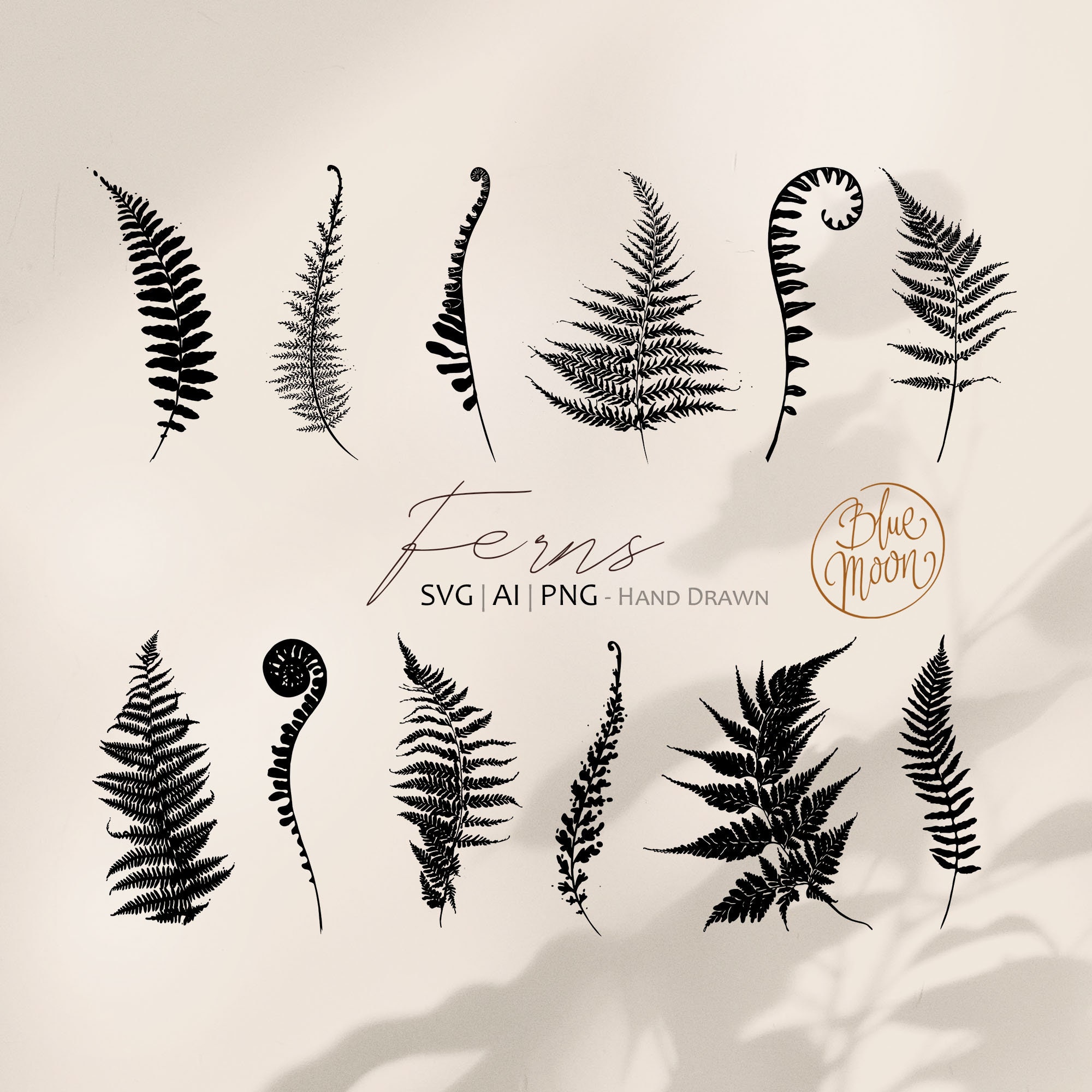 Fern Leaves Hand Drawn Botanical Graphics. Set of Svg Ai and - Etsy