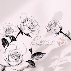 Rosenblume, handgezeichnete florale Illustrationen. Set von svg, ai und png Clipart Dateien, digitaler Download