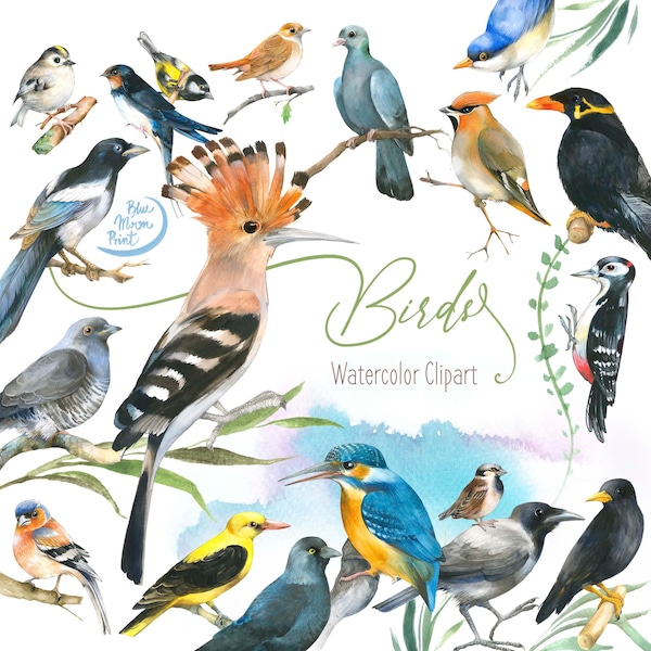 Watercolor Birds Clipart, hand painted illustrations. Set of PNG clip art files, digital download