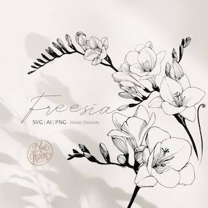 フリージアの花、手描きの花のイラスト。SVG、AI、PNG クリップアート ファイルのセット、デジタル ダウンロード