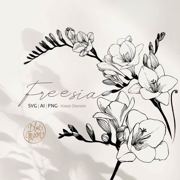 Freesia Flower, hand drawn floral illustrations. Set of svg, ai and png clipart files, digital download