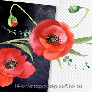 Watercolor Poppy Flower Clipart, floral illustrations, spring red poppies. Set of PNG clip art files, digital download image 3