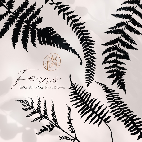 Ferns, hand drawn illustrations. Set of svg, ai and png clipart files, digital download