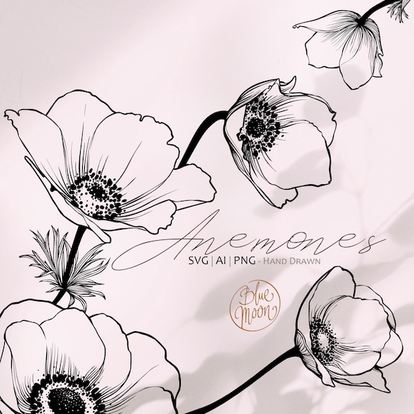 Anemone Flower, hand drawn floral graphics. Set of svg, ai and png clipart files, digital download