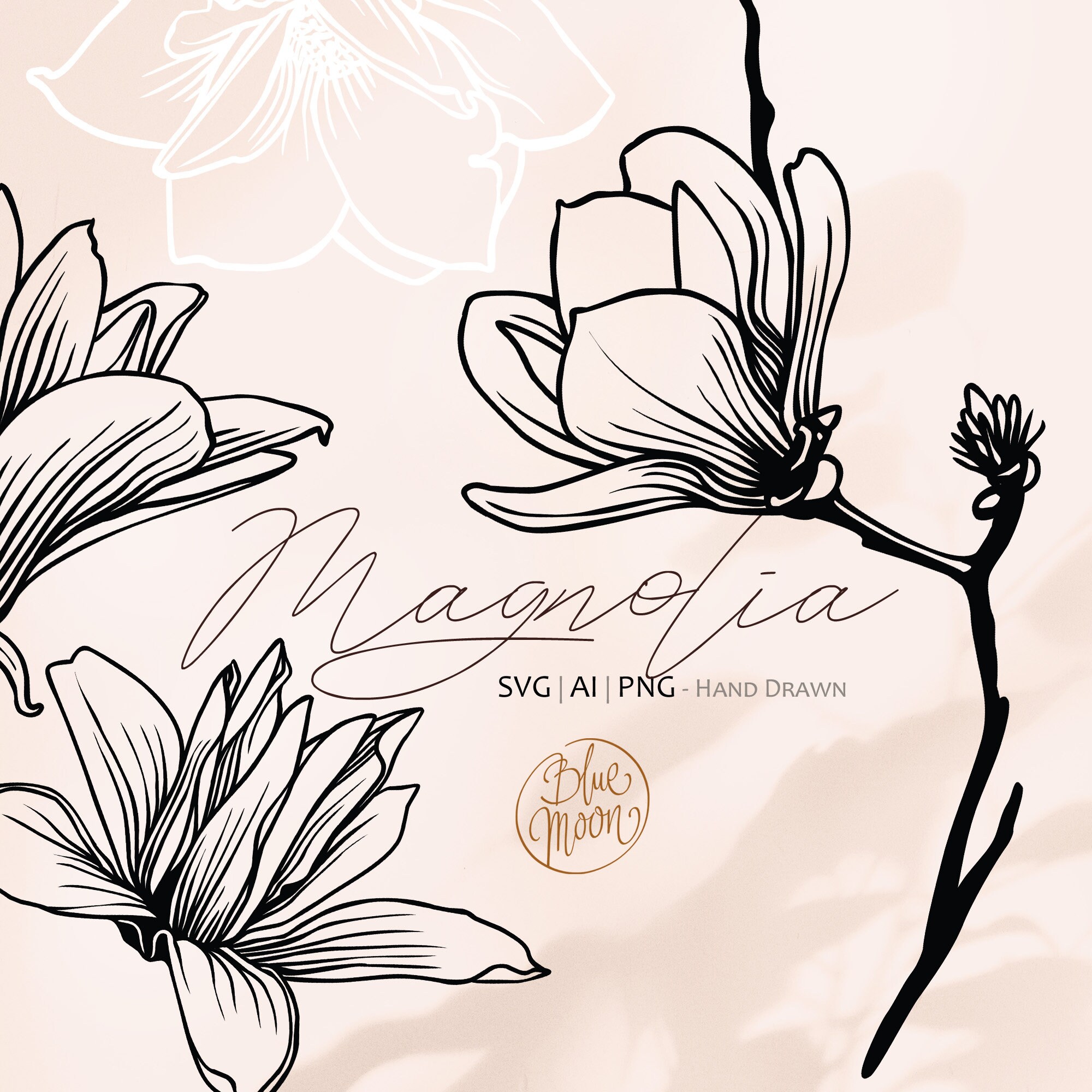 Magnolia Flower, Hand Drawn Floral Illustrations. Set of Svg, Ai and ...