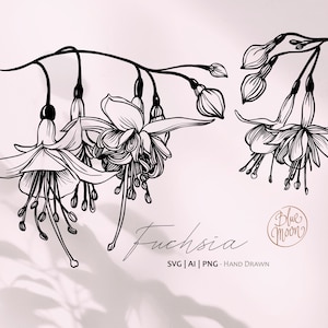 Fuchsia Blume, handgezeichnete florale Grafik. Set von svg, ai und png Clipart-Dateien, digitaler Download