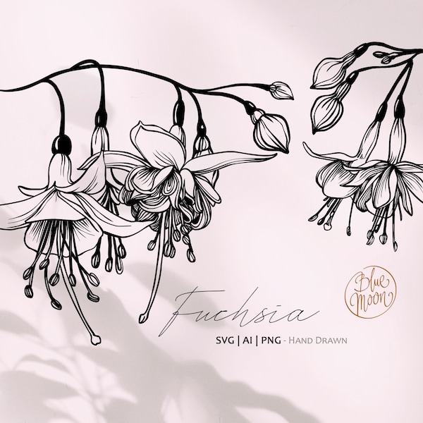 Fuchsia Flower, hand drawn floral graphics. Set of svg, ai and png clipart files, digital download