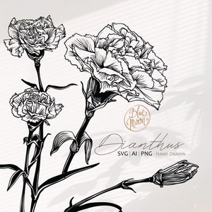 Nelke Blume, handgezeichnete Blumengrafiken. Set von svg-, ai- und png-Clipart-Dateien, digitaler Download
