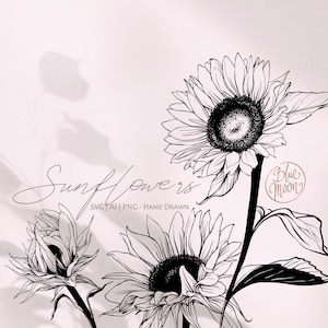 Tournesols, illustrations florales dessinées à la main. Ensemble de fichiers clipart svg, ai et png, téléchargement numérique