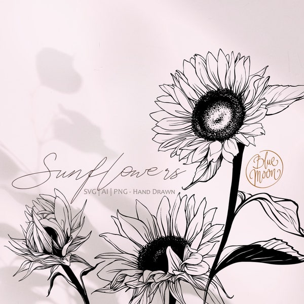 Sunflowers, hand drawn floral illustrations. Set of svg, ai and png clipart files, digital download