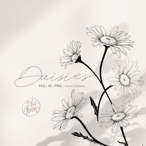 Daisy Flower, handgezeichnete florale Illustrationen. Set von svg, ai und png Clipart-Dateien, digitaler Download