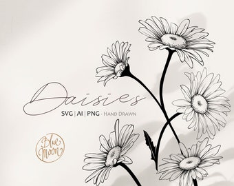 Daisy Flower, hand drawn floral illustrations. Set of svg, ai and png clipart files, digital download