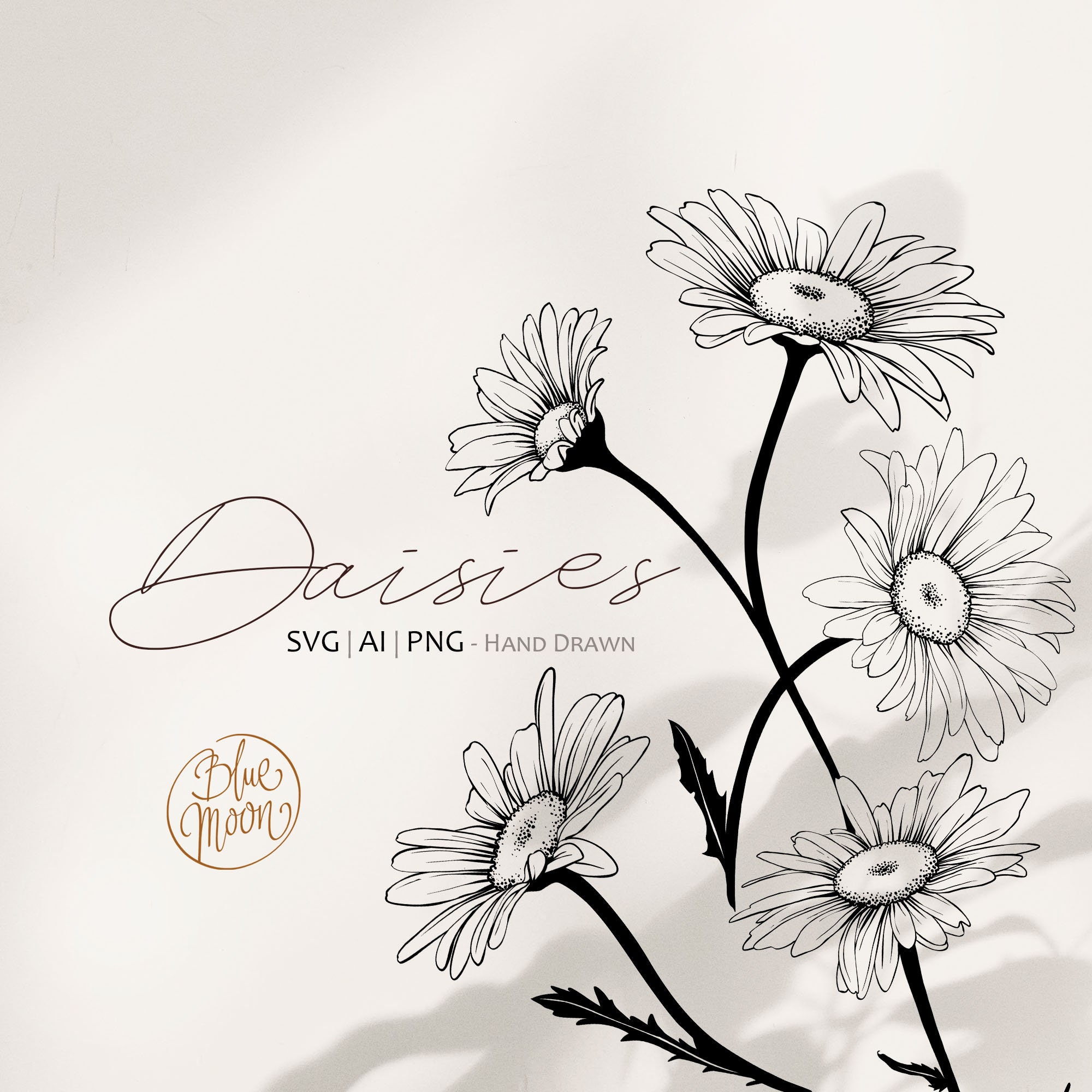 Daisy and leaves SVG, PNG. Hand drawn doodle flowers