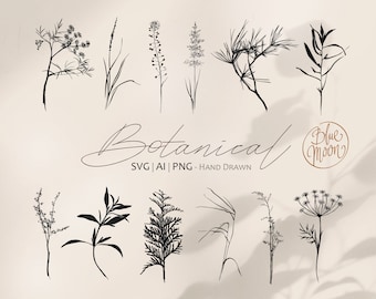 Plants and Twigs, hand drawn botanical clipart. Set of svg, ai and png clip art files, digital download