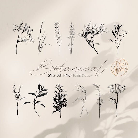 Plants and Twigs, hand drawn botanical clipart. Set of svg, ai and png clip art files, digital download