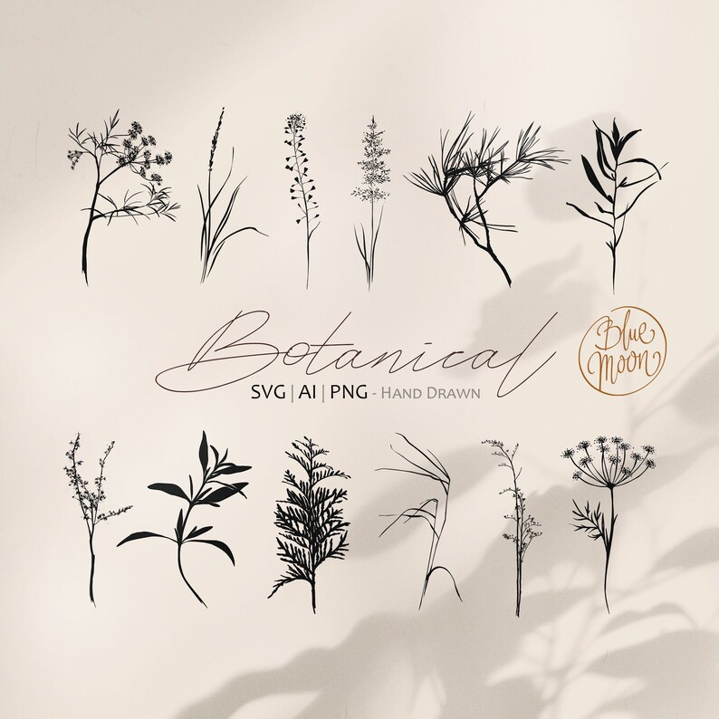 May include: A set of 12 hand-drawn botanical illustrations in black ink. The illustrations feature various types of leaves, flowers, and grasses. The text "Botanical SVG | AI | PNG - Hand Drawn" is at the bottom of the image.