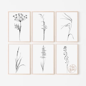 May include: Set of six black and white line art prints featuring various botanical illustrations. The prints are framed in a light wood frame and are displayed on a white wall.
