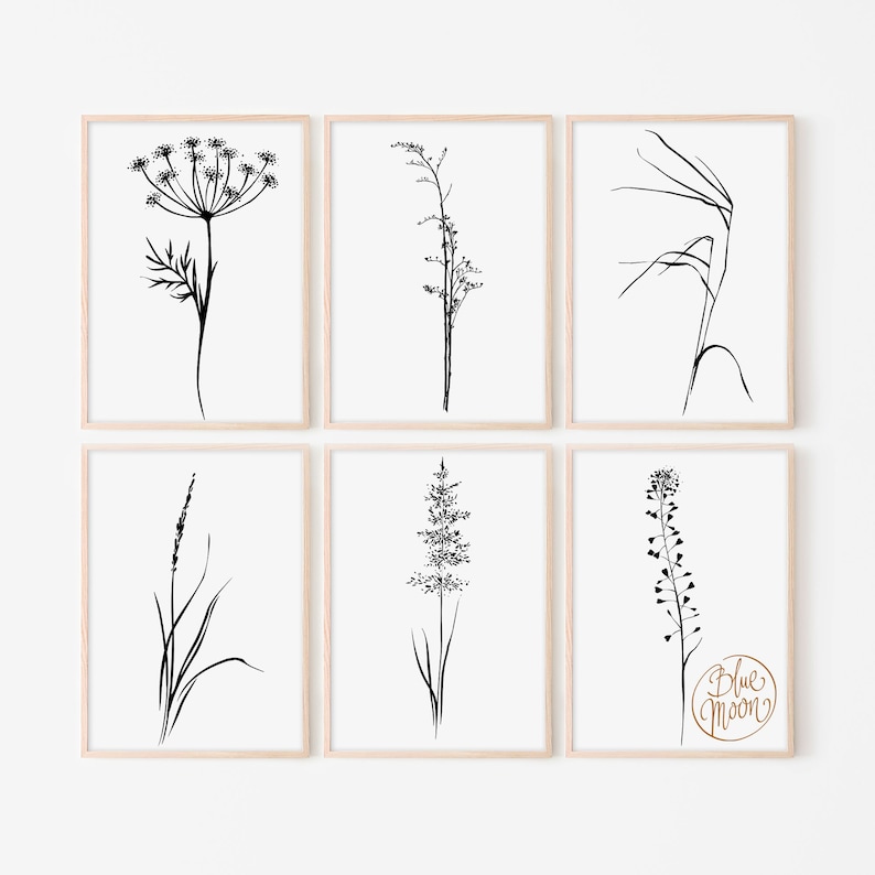 May include: Set of six black and white line art prints featuring various botanical illustrations. The prints are framed in a light wood frame and are displayed on a white wall.