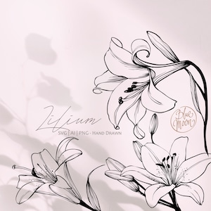 ユリの花、花のグラフィック。SVG、AI、PNG クリップアート ファイルのセット、デジタル ダウンロード