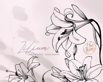 Lily Flower, floral graphics. Set of svg, ai and png clipart files, digital download