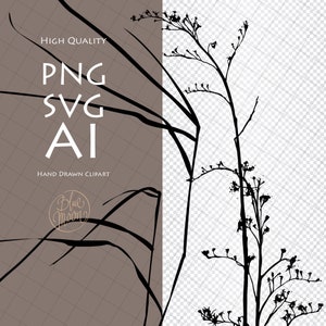May include: Black and white silhouette of two different types of plants. The plants are drawn in a simple, minimalist style. The text "HIGH QUALITY PNG SVG AI HAND DRAWN CLIPART Blue Moon" is visible in the image.
