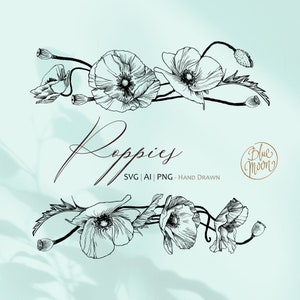Fleur de coquelicot, cadre graphique floral décoratif. Fichiers clipart Svg, ai et png, téléchargement numérique