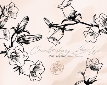 Canterbury Bells Flower, hand drawn floral illustrations. Set of svg, ai and png clipart files, digital download