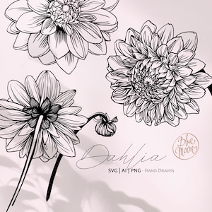 Fleur de dahlia, graphisme floral vectoriel. Ensemble de fichiers clipart svg, ai et png, téléchargement numérique