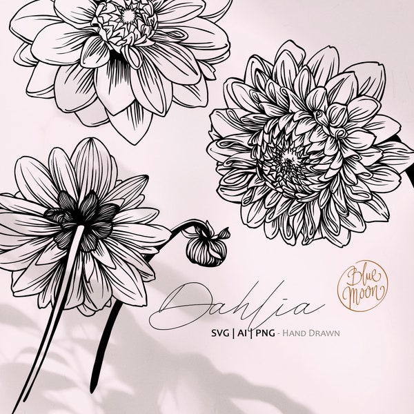 Dahlia Flower, vector floral graphics. Set of svg, ai and png clipart files, digital download