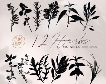 Herbal Plants, hand drawn illustrations. Set of svg, ai and png clipart files, digital download