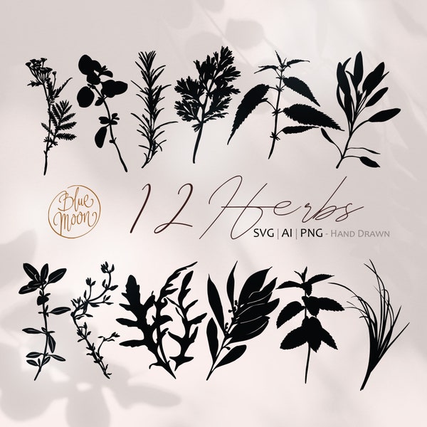 Herbal Plants, hand drawn illustrations. Set of svg, ai and png clipart files, digital download