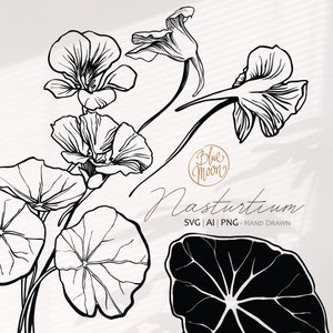 Fleur de capucine, graphiques floraux dessinés à la main. Ensemble de fichiers clipart svg, ai et png, téléchargement numérique