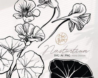 Nasturtium Flower, hand drawn floral graphics. Set of svg, ai and png clipart files, digital download