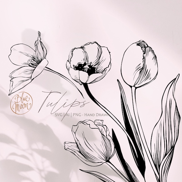 Tulip Flower, floral graphics. Set of svg, ai and png clipart files, digital download