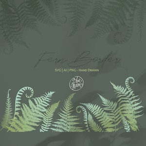 Fern Border, gráficos florais desenhados à mão. Conjunto de arquivos de clipart svg, ai e png, download digital