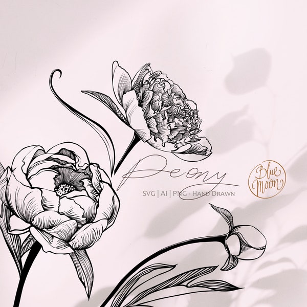 Peony Flower, hand drawn floral illustrations. Set of svg, ai and png clipart files, digital download