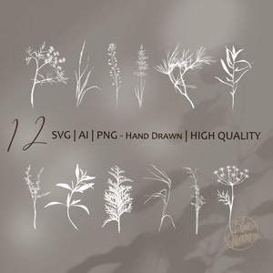 May include: Twelve hand-drawn illustrations of various types of white grass and wildflowers. The illustrations are in a minimalist style and are perfect for use in digital or printed projects.