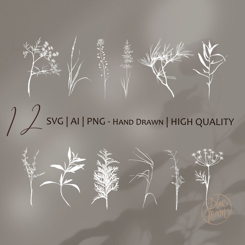 May include: Twelve hand-drawn illustrations of various types of white grass and wildflowers. The illustrations are in a minimalist style and are perfect for use in digital or printed projects.