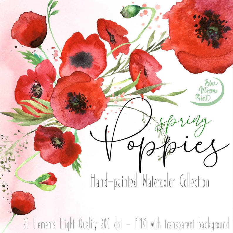 Watercolor Poppy Flower Clipart, floral illustrations, spring red poppies. Set of PNG clip art files, digital download image 1