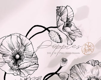 Poppy Flower, hand drawn floral graphics. Set of svg, ai and png clipart files, digital download