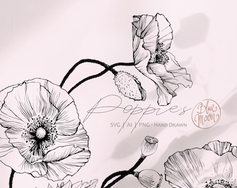 Poppy Flower, hand drawn floral graphics. Set of svg, ai and png clipart files, digital download