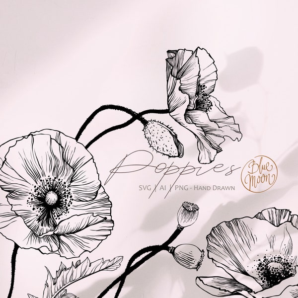 Poppy Flower, hand drawn floral graphics. Set of svg, ai and png clipart files, digital download