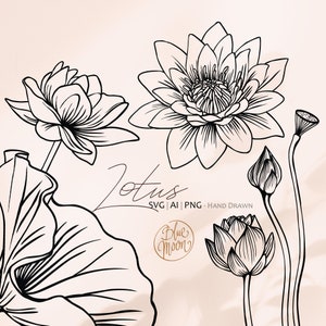 Fleur de Lotus, illustrations florales dessinées à la main. Ensemble de fichiers clipart svg, ai et png, téléchargement numérique
