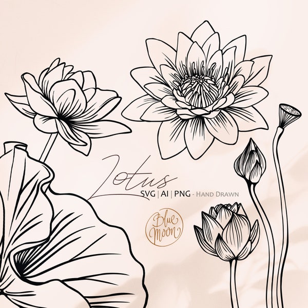 Lotus Flower, hand drawn floral illustrations. Set of svg, ai and png clipart files, digital download