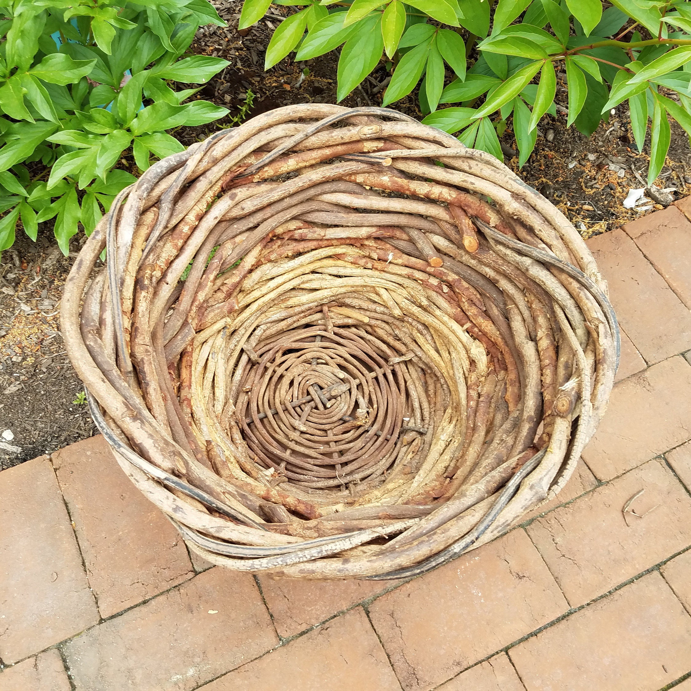 Primitive Twisted Wood Basket Braided Branch Basket Ex Large Etsy