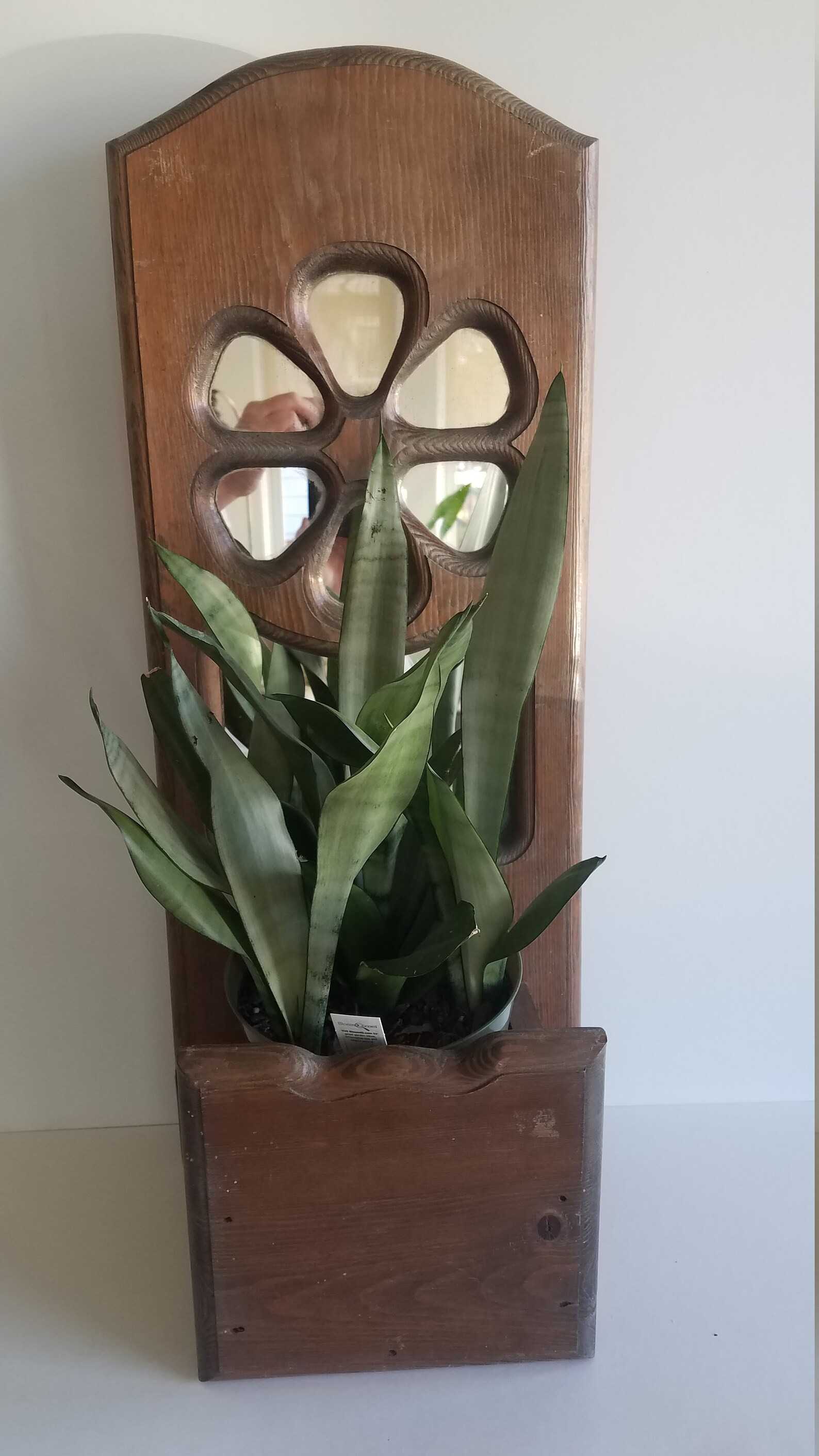 Wood Wall Mirror With Plant Holder Wall Pocket Wall Garden Etsy