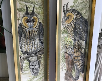 Pair Of Vintage Owl Water Color Mid Century Handed Painted Owls Gilded Frames